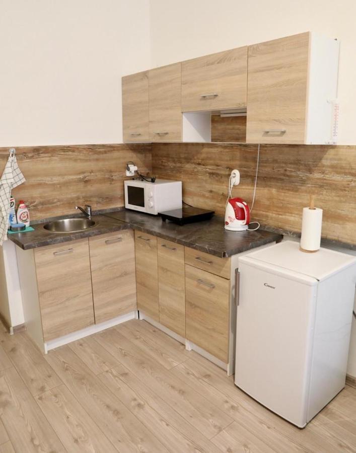 Lana Lo Apartments Karlovy Vary Dış mekan fotoğraf